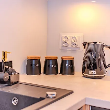 شقة Ines - Zakopianski - Jacuzzi & Sauna & Silownia & Plac Zabaw زاكوباني